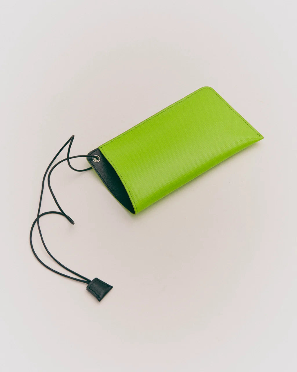 PORTABLE CASE LIGHT GREEN